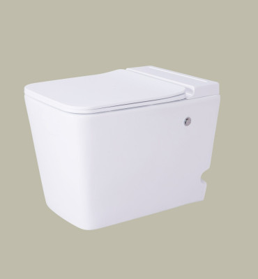 POWER PLUS Boffo Pluse Tankless Toilet (Floor Mounted)