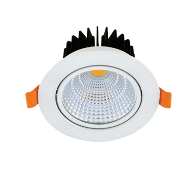 Divine LED Shine Moveable COB Light 50watt