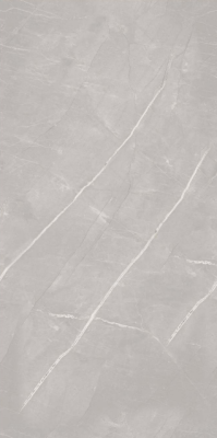 Livolla pulpis gris floor & wall tiles 600 x 1200 mm