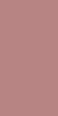 Solid High Gloss Blush Pink 1.25 mm 1033