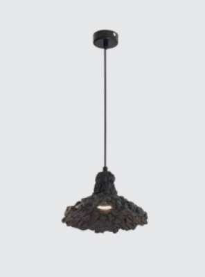 Neptune Pothole Pendant black Lights 088