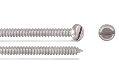 SS Pan Slotted Self Tapping Screw (1 Box = 100 pcs)