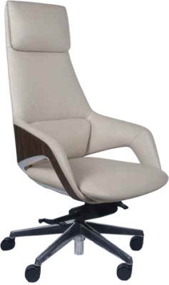 High Back Leather Chair EC-004