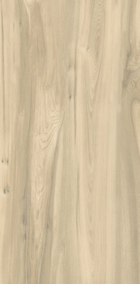 Livolla  bark verde wood & matt 600 x 1200 mm