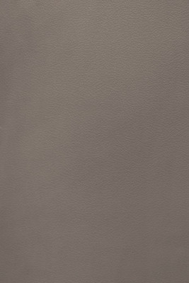 Sanish shell gray laminate 3030 SH 1 mm