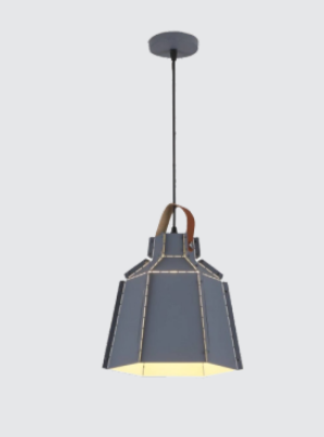 NEPTUNE Modern Gray Chandelier Pendant Light 8107/1