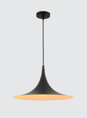 Neptune SL Light Ceiling Hanging black  Lamp 7905/470