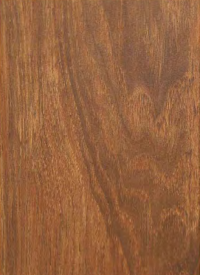 Suede wooden light elm oak 0.8mm SF-9087