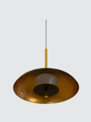 Neptune Modern Pendant Lights FJD003