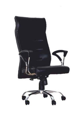 High Back Revolving Chairs EC-025