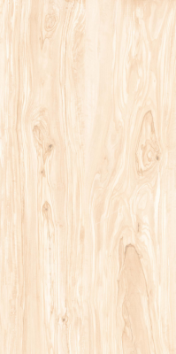 Livolla  extirio beige wood & matt 600 x 1200 mm