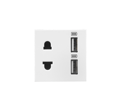 Legrand combi twin USB 3100mA type A with Euro US socket 2 module