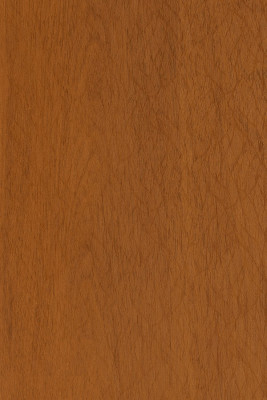 KAJARIA WILLOW WICK ONTARIO TROPICAL LAMINATE (KL 116 - 94133)