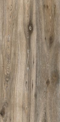 Livolla Wood forest wood mocha tiles 600 x 1200 mm