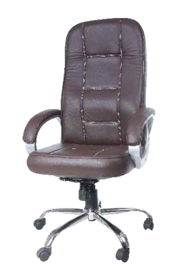 Standard Leather Back Support Chair EC-035