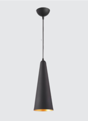 NEPTUNE Popular Black Modern Simplicity Wrought Iron Hanging Light 7909/1