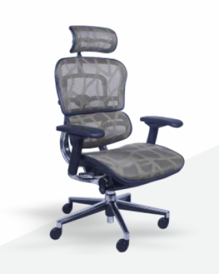 Ergohuman V2 Plus Elite Mesh Office Chair EMC-003