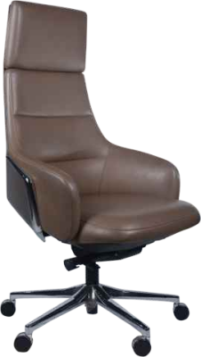 AFLHYJK Office Chair High Back Office Desk Chair Executive Swivel Office Chair EC-006