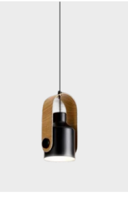 Neptune Haidu Industrial Modern Style Metal Pendant black lamp A1269/1