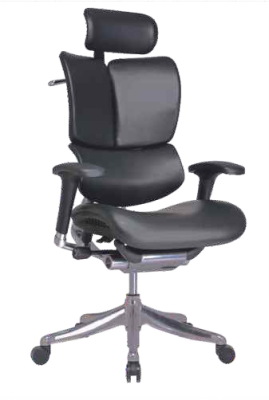 Eurotech Seating Ergohuman Leather Swivel Chair EC-012