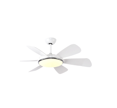 Luxaire Decorative fan with 6 blades SLR-0024