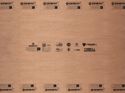 Century  Architect  Boiling Waterproof Plain BWP Plywood (8 L x 4 W) Feet - (Gurjan)