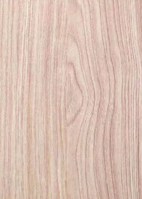 Majestic oak light silky oak 0.8mm MO-9084