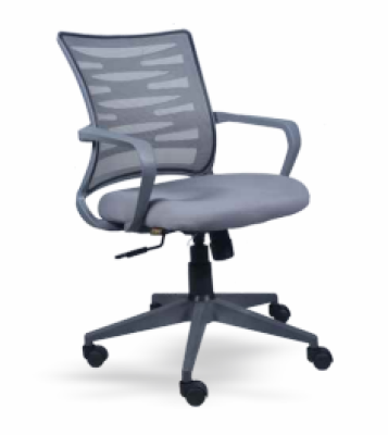 Low Back Royal Ergonomic Desk Mesh Chair WSM - 025