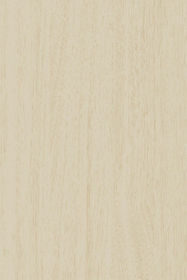 Sanish Ultra gloss RIVER PINE laminate 3662 UG 1 mm