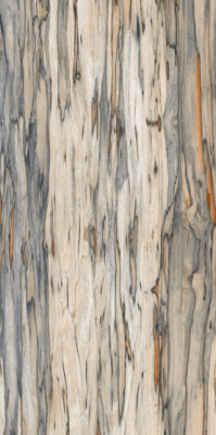 Livolla Wood leminum cobalt tiles 600 x 1200 mm