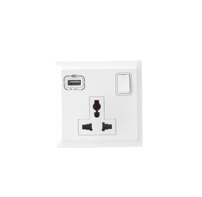 Legrand combi 6A mulistandard switched socket with USB charder 3100mA type A 1 gang 2 module