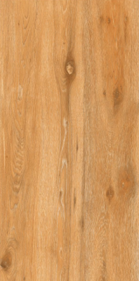 Livolla Wood forest wood brown tiles 600 x 1200 mm