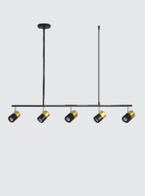 Neptune KCO Lighting Black and Gold A1520/5A