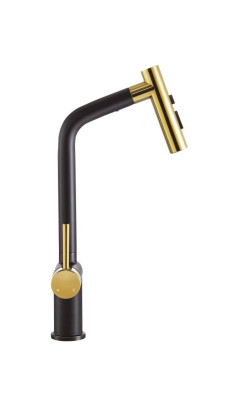 POWER PLUS Kitchen Mixer  Gold Finish E30-KM-GB-321