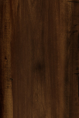 KAJARIA GLEAMING SHY GOLDEN WOOD LAMINATE (KL 41 - 9118)