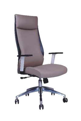 Office Leather Chair EC-026