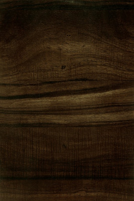 Sanish Live oak SAPPING VENEER DARK laminate 3786 LK 1 mm