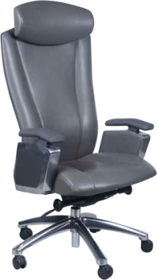 Leather Office Chairs With Arms And Back Headrest EC-017