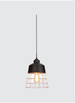 Neptune Iron Cage Pendant Lighting 7433/1