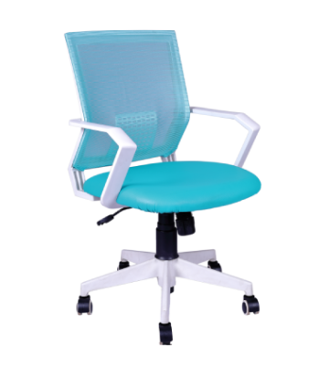 Low Back Royal Ergonomic Desk Office Mesh Chair WSM - 023