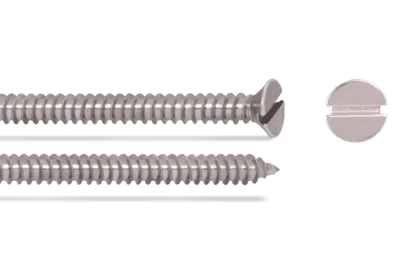 SS CSK Slotted Self Tapping Screw (1 Box = 100 pcs)
